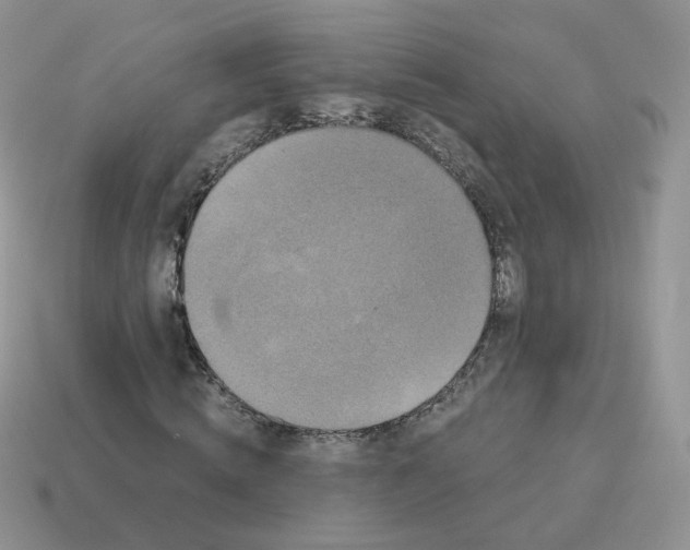 X0000114520820200911091149