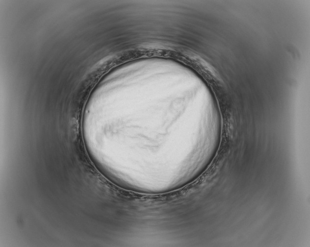 X0000114520821200911091149