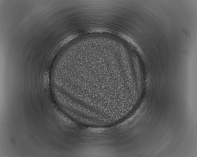 X0000114520825200911091149