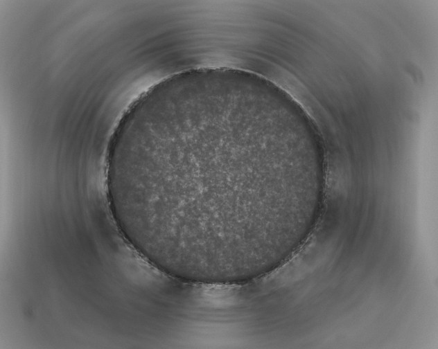 X0000114520832200911091149