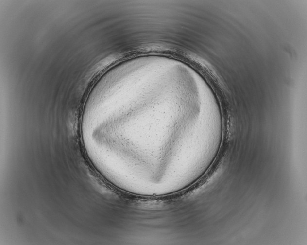 X0000114520833200911091149