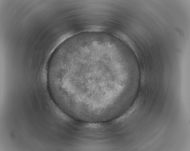 X0000114520835200911091149