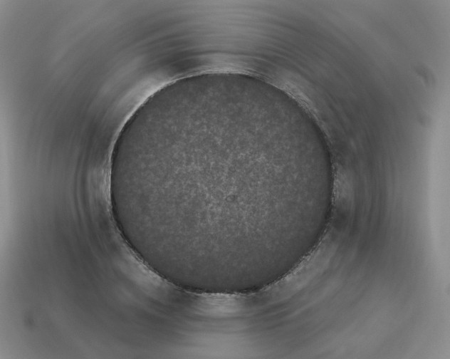 X0000114520836200911091149