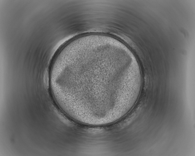 X0000114520838200911091149