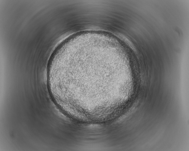 X0000114520839200911091149