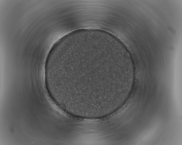 X0000114520840200911091149