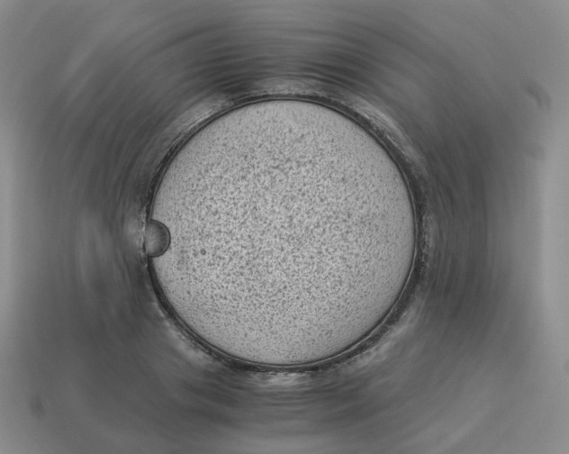 X0000114520841200911091149