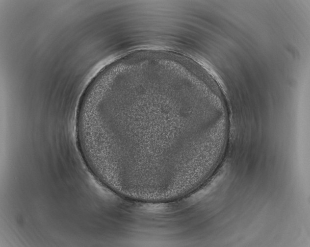 X0000114520845200911091149