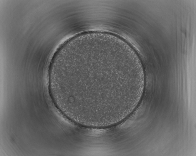 X0000114520848200911091149