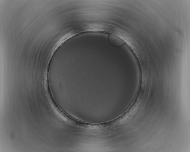 X0000114520850200911091149