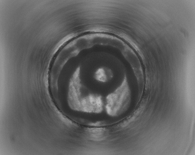 X0000114520853200911091149