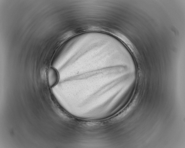 X0000114520857200911091149