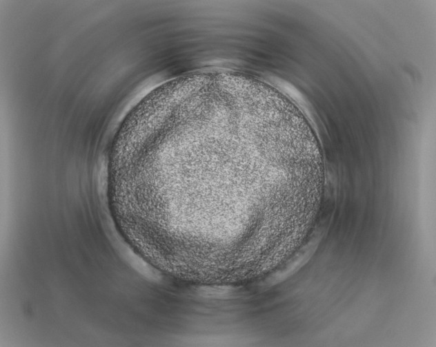 X0000114520859200911091149