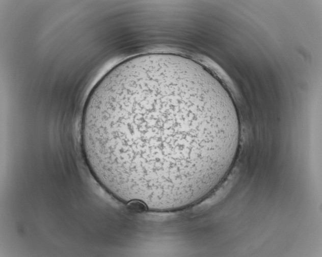 X0000114520860200911091149