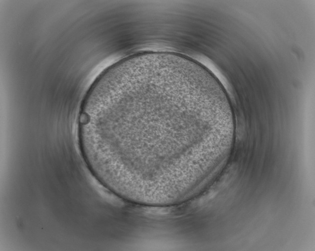 X0000114520861200911091149