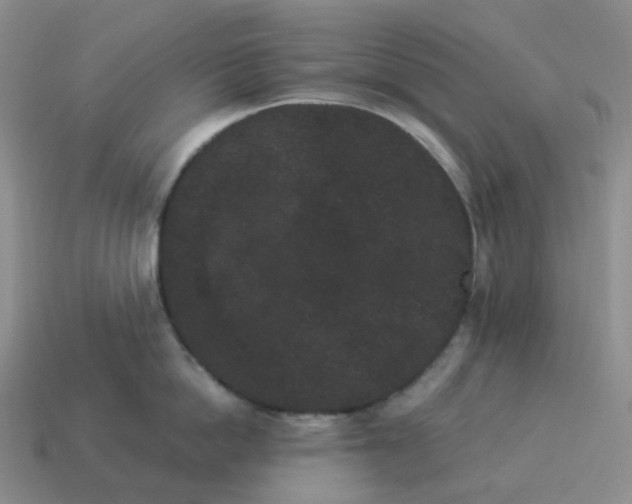 X0000114520862200911091149