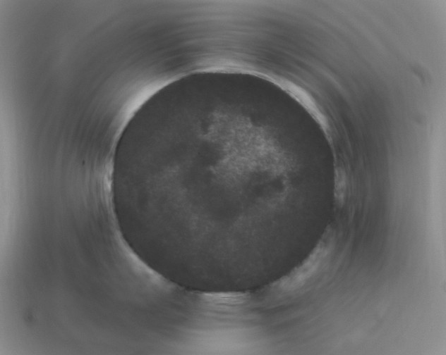 X0000114520863200911091149