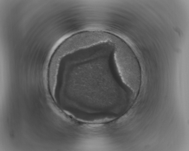 X0000114520864200911091149