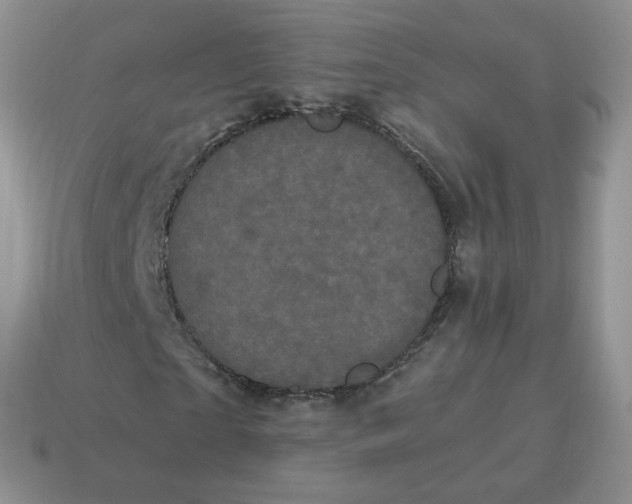 X0000114520865200911091149