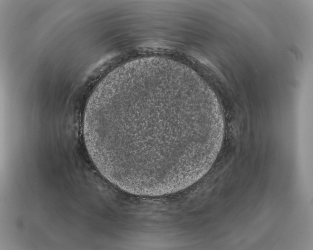 X0000114520870200911091148