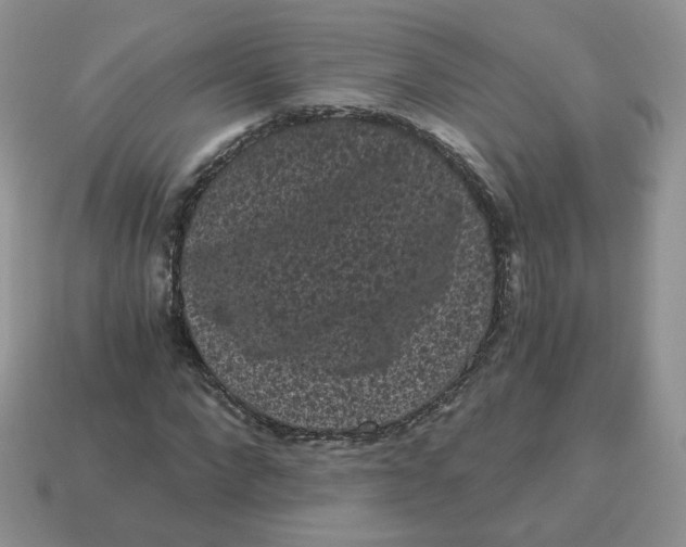 X0000114520872200911091148