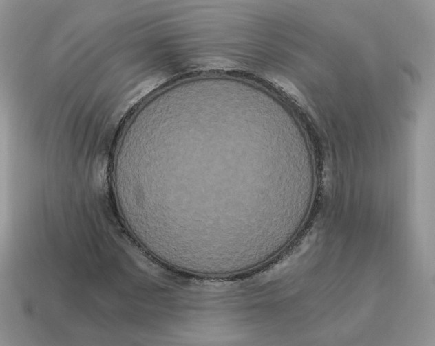 X0000114520873200911091148