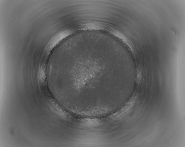 X0000114520874200911091148