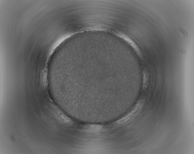 X0000114520878200911091148