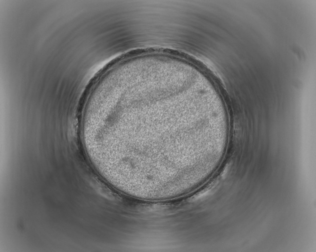 X0000114520879200911091148