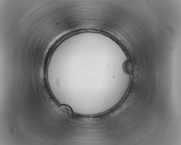 X0000114520880200911091148