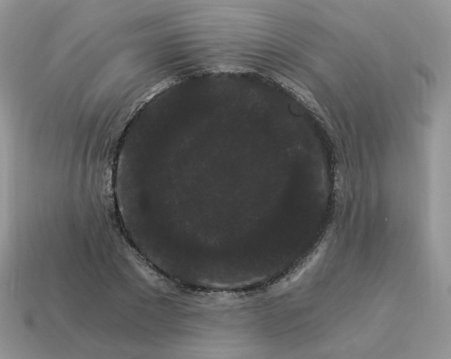 X0000114520881200911091148