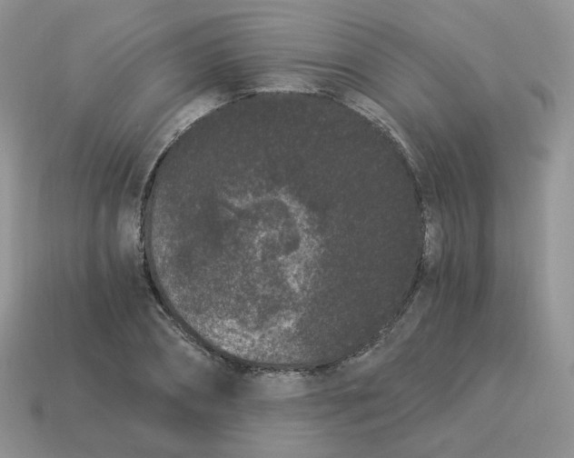 X0000114520882200911091148