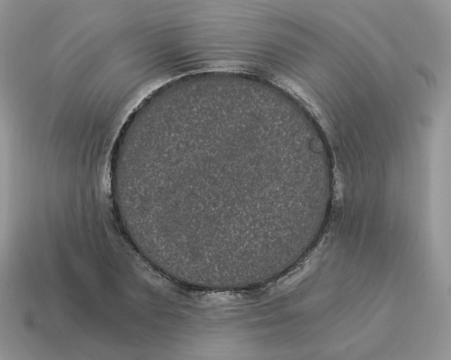 X0000114520883200911091148