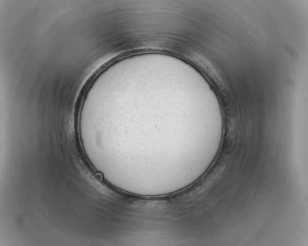 X0000114520884200911091148