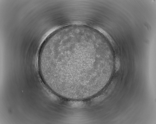 X0000114520886200911091148