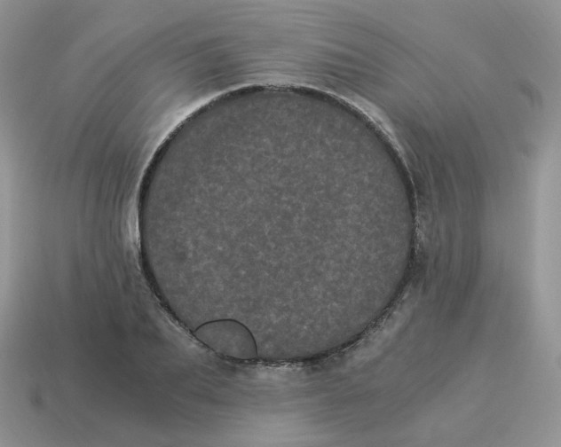 X0000114520887200911091148