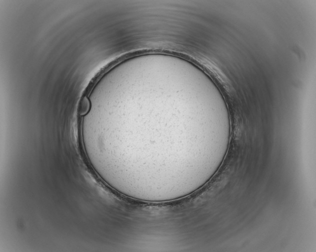 X0000114520888200911091148