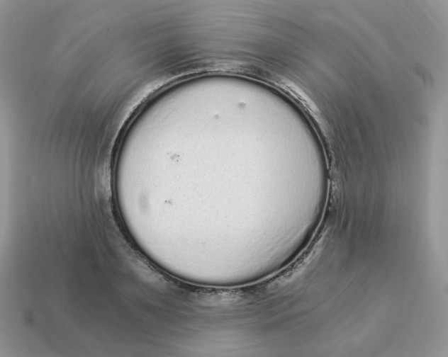 X0000114520891200911091148