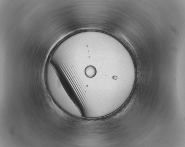 X0000114520892200911091148