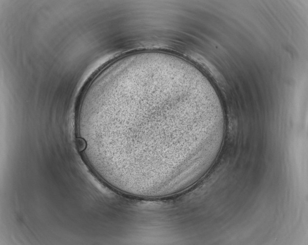 X0000114520894200911091148