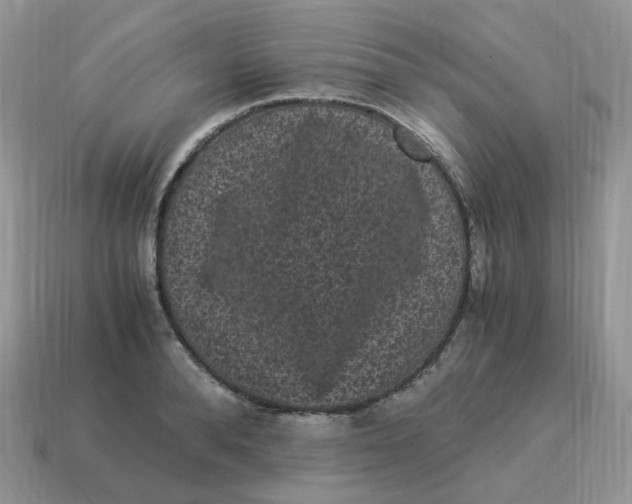 X0000114520896200911091148