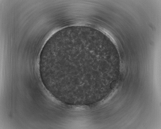 X0000114520899200911091148