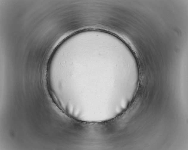 X0000114520903200911091148