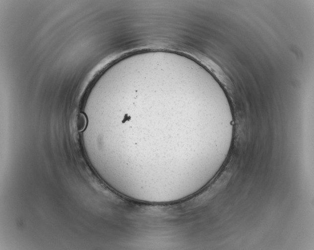 X0000114520904200911091148