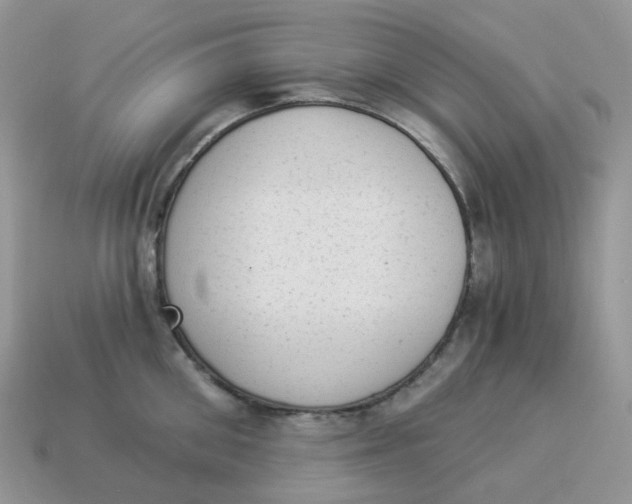 X0000114520906200911091148