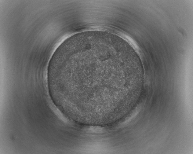 X0000114520907200911091148