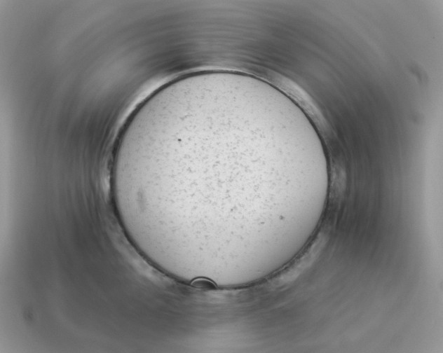 X0000114520908200911091148