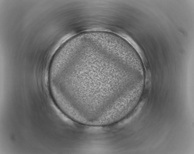 X0000114520909200911091148