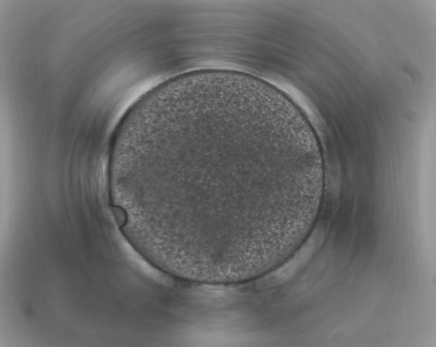 X0000114520910200911091148