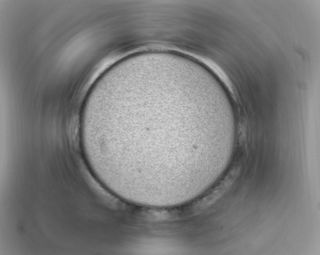 X0000114520911200911091148